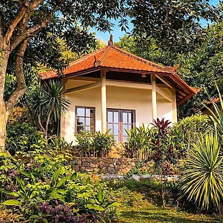 The Hamsa Resort
